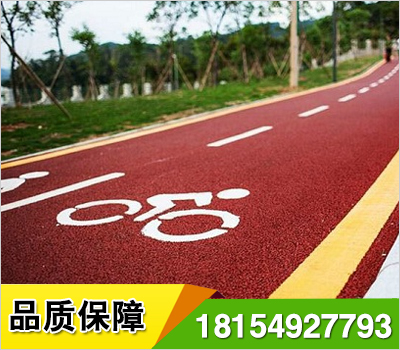 彩色非機動車道專用于公共交通的公交車道,自行車道,小型機動車道,專用于緊急服務和貴賓證持有者的電子收費站車道.